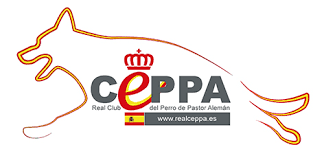 Clubs de race Espagne