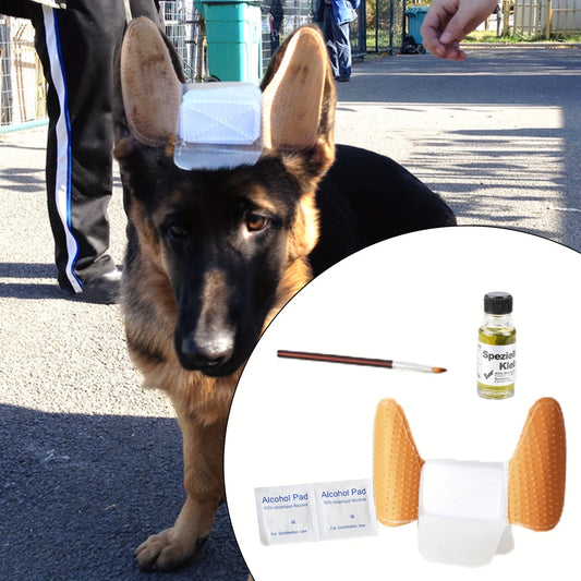 Kit de Correction d'Oreilles pour Chien : Le Secret d'Oreilles Parfaites !