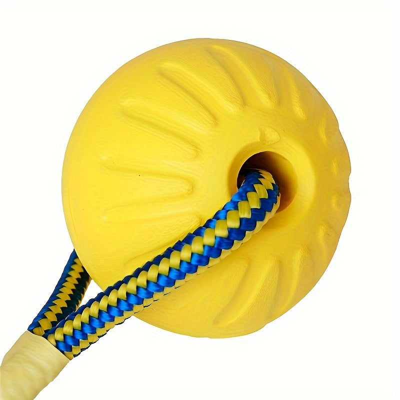 Dog rope ball: to strengthen the bond with your pet