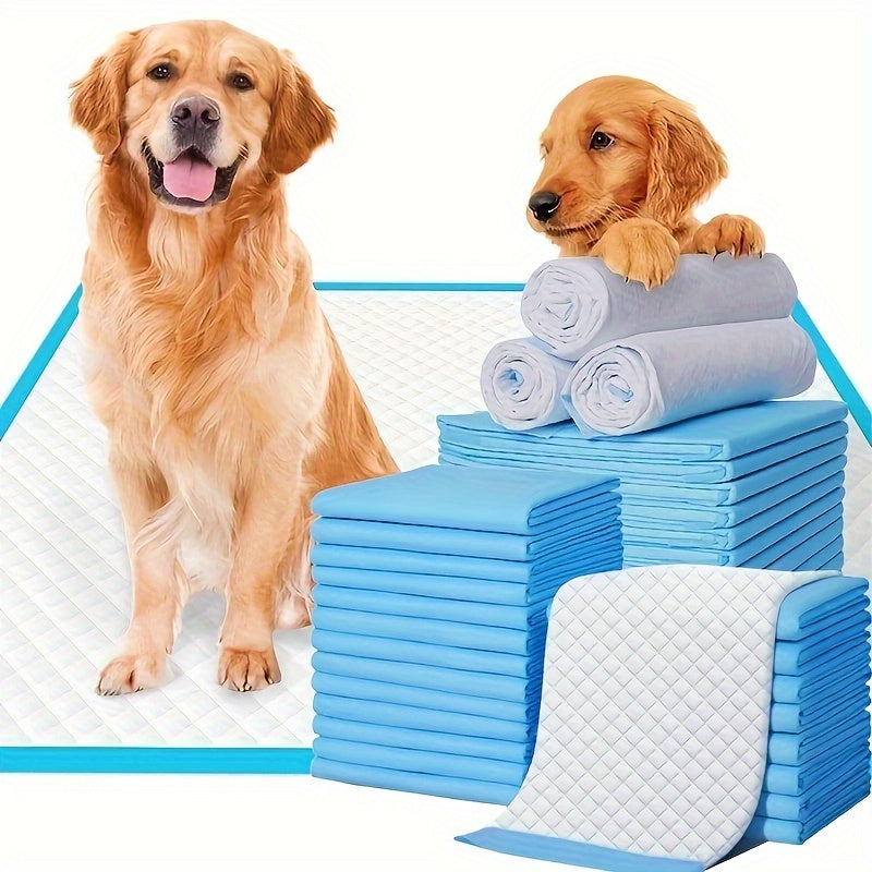 Dog Diaper Pack: Perfect for Potty Training