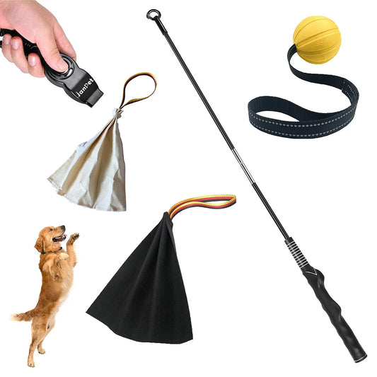 Jeu et apprentissage : Kit complet pour votre chien