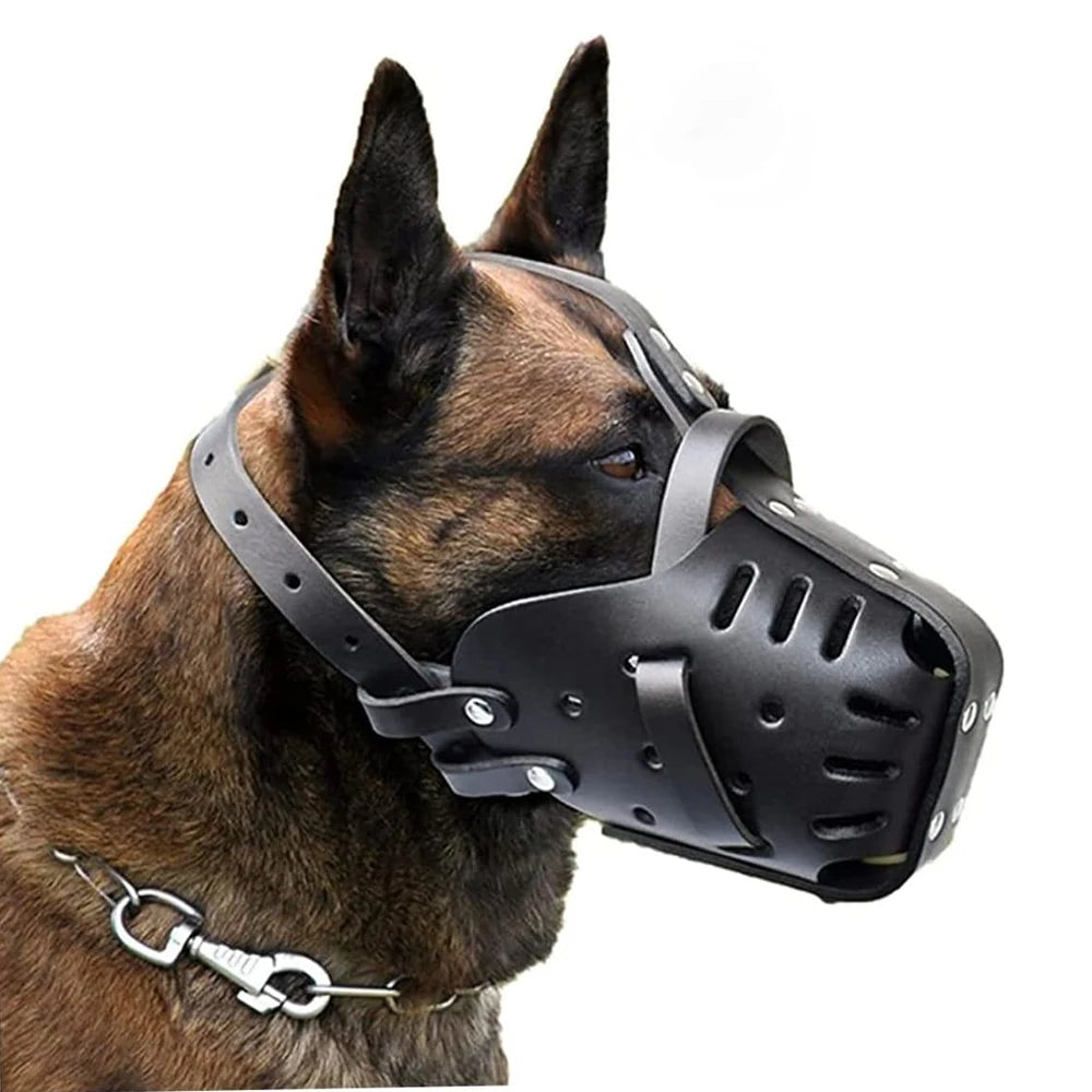 Leather Muzzle for Training Dogs