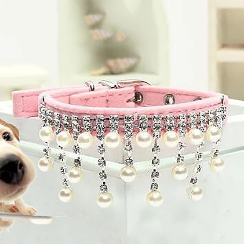 Collier de princesse pour mon chien préféré !