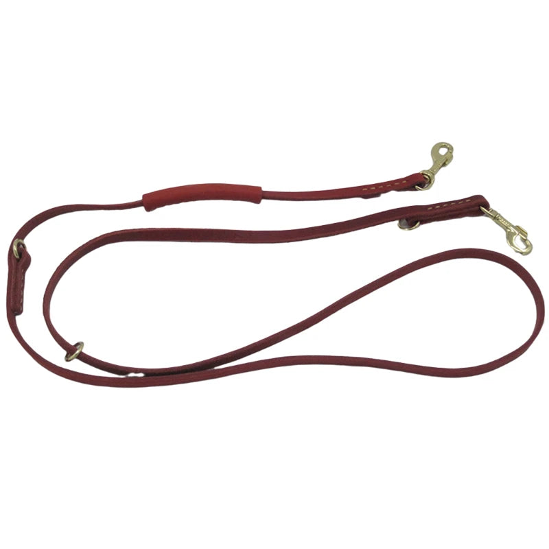 2-in-1 Leash: The ideal solution for walking two dogs