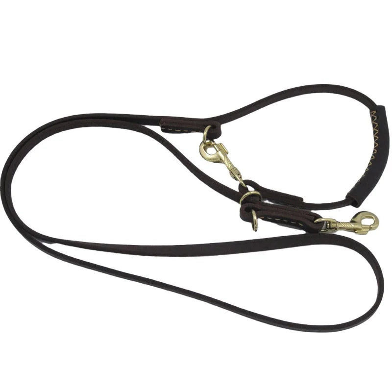 2-in-1 Leash: The ideal solution for walking two dogs