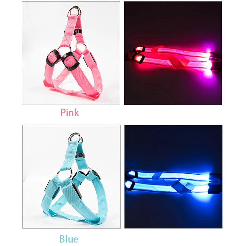 LED dog harness: Safety and visibility guaranteed during your walks