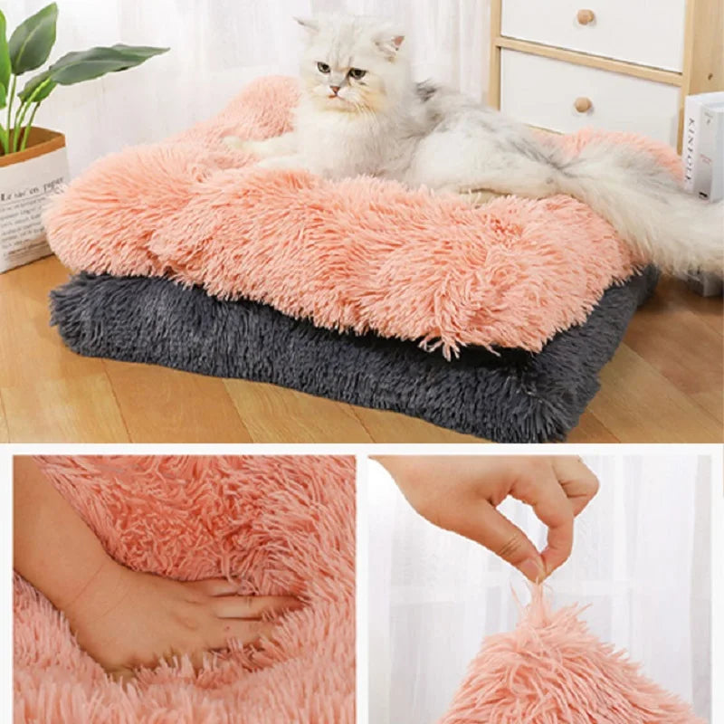 Soft sofa for small and large dogs