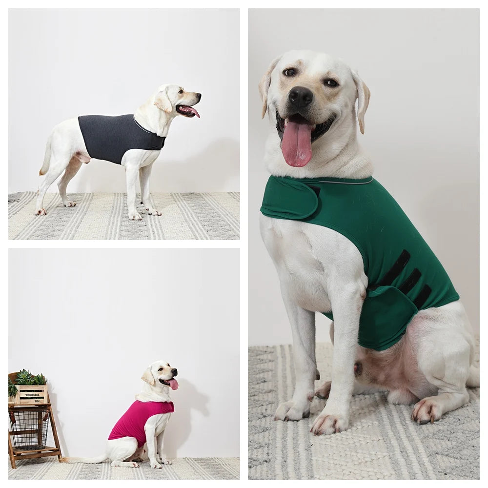 Calmez votre compagnon à quatre pattes : Gilet anti-anxiété pour chien Puppystar