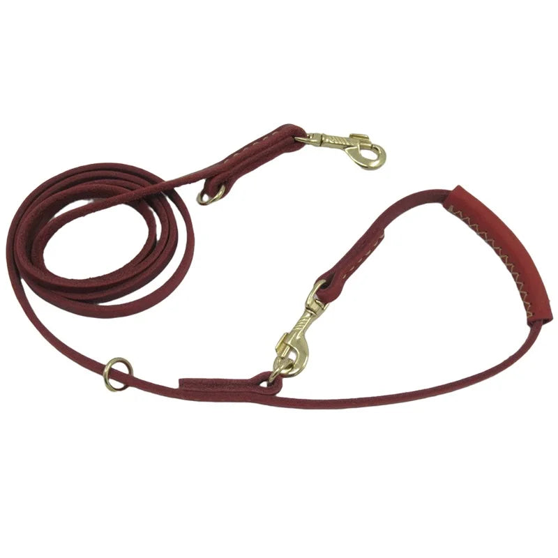 2-in-1 Leash: The ideal solution for walking two dogs