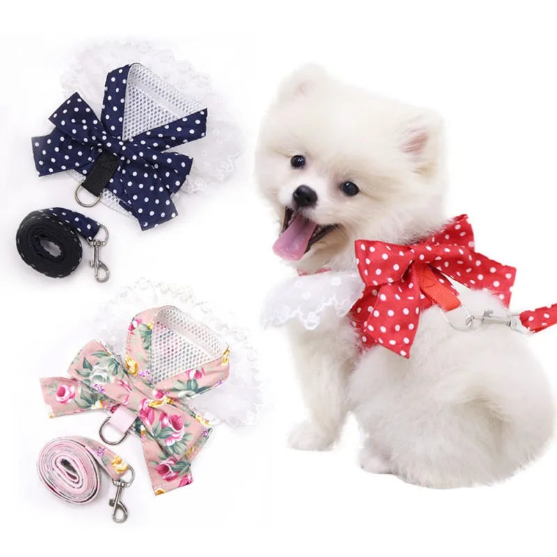 Harnais et Laisse Chic pour Petit Chien : Le Look Parfait