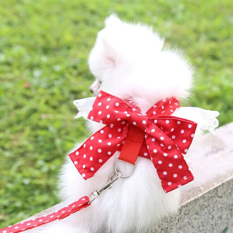 Harnais et Laisse Chic pour Petit Chien : Le Look Parfait