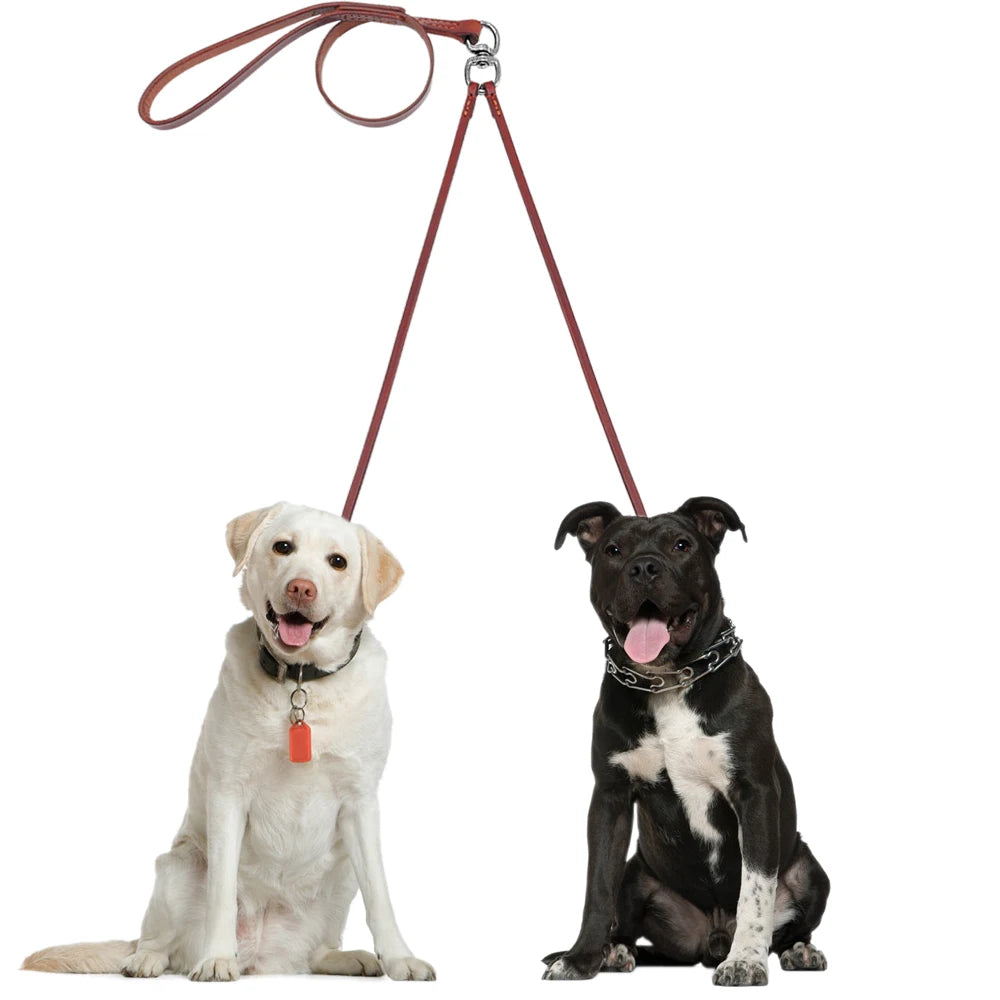 Adjustable double leather leash: Comfort and safety, A chic classic for your two four-legged friends.