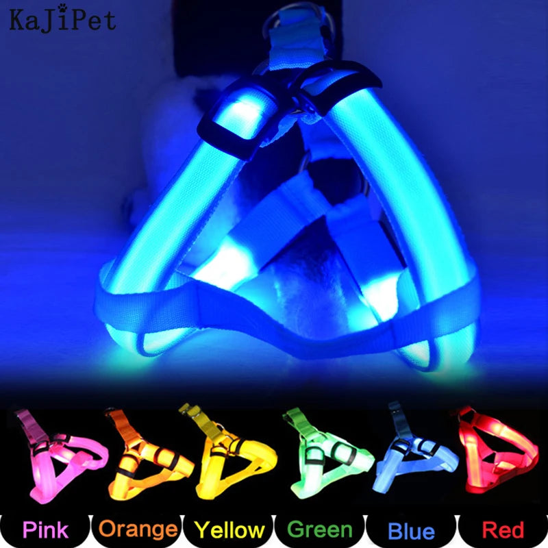 LED dog harness: Safety and visibility guaranteed during your walks