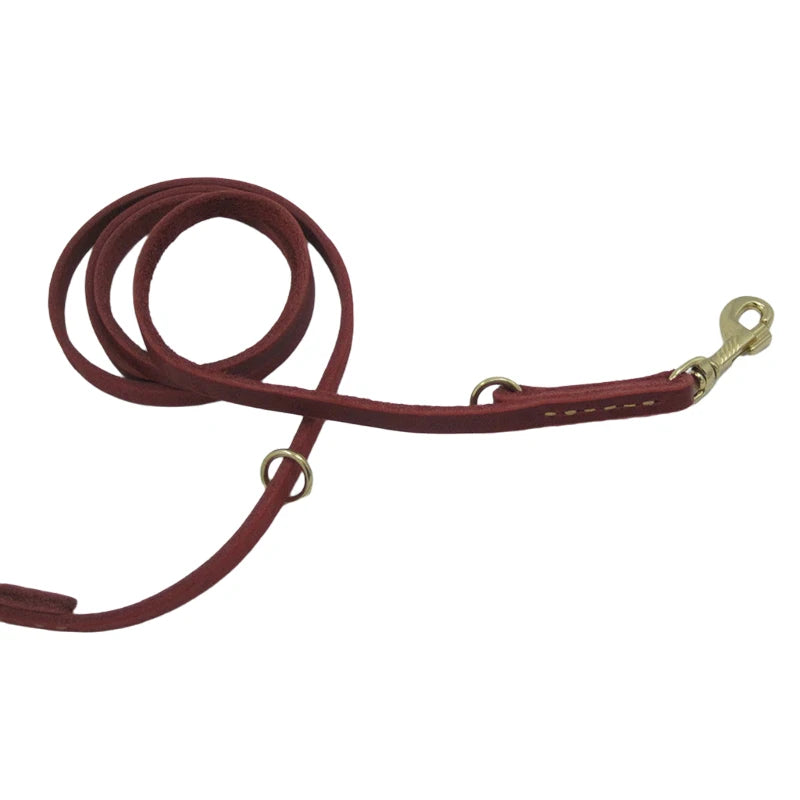 2-in-1 Leash: The ideal solution for walking two dogs