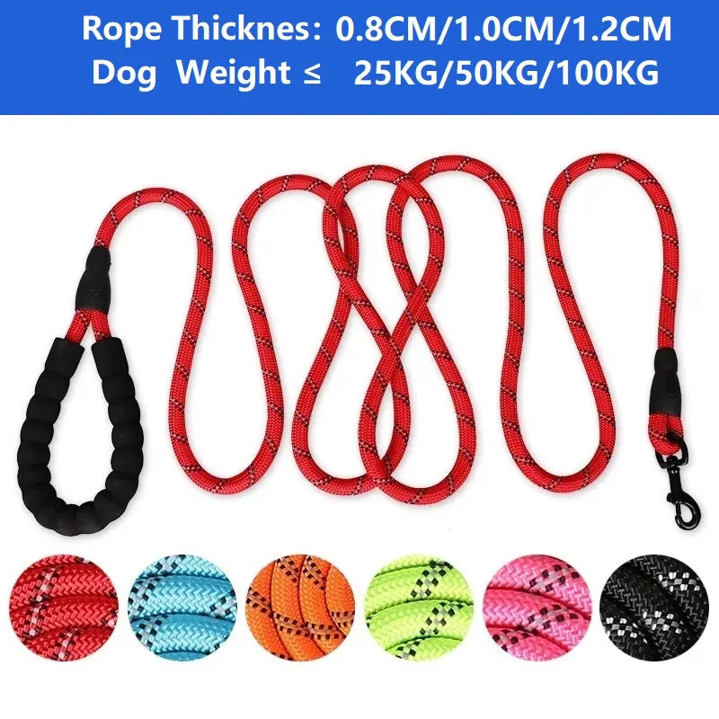 Reinforced leashes 120-300cm: Freedom and control for dogs of all sizes.