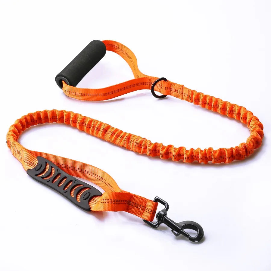 3m reflective dog leash, Maximum safety: Visible at night