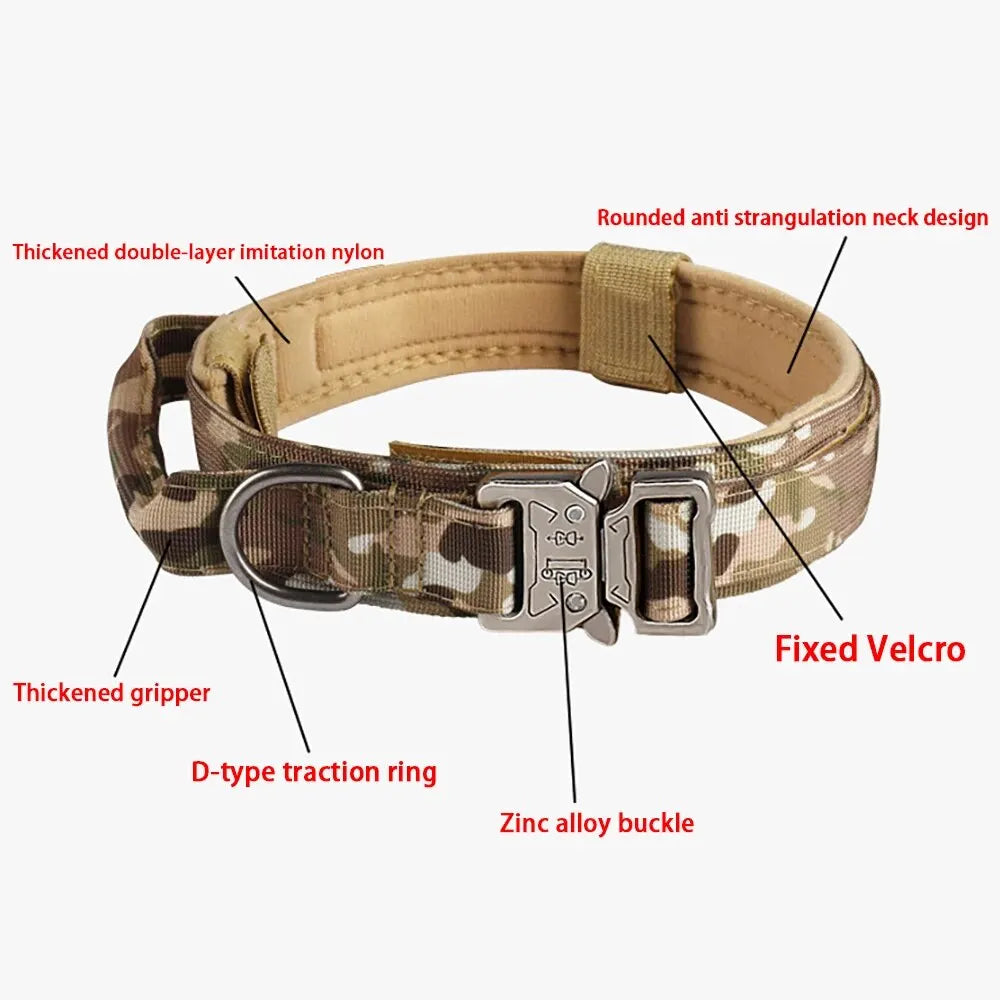 The sturdy and stylish collar for four-legged adventurers!