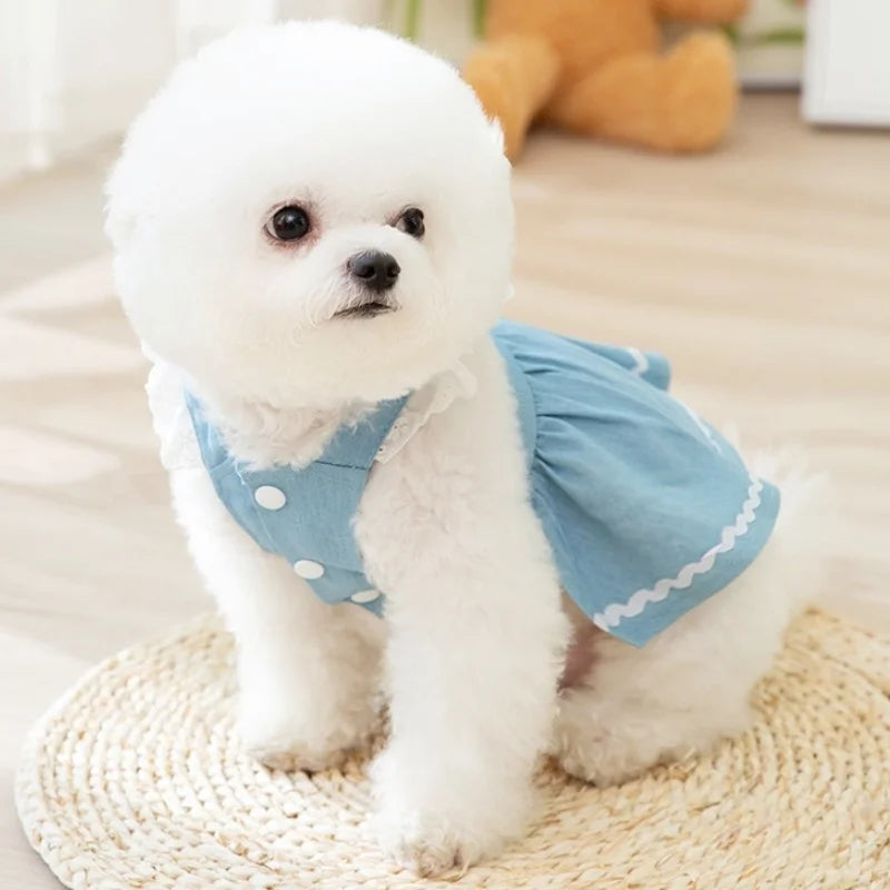 Votre petit compagnon sera une véritable princesse avec cette robe en jean