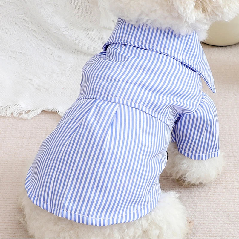 Élégance et confort : la chemise à rayures parfaite pour votre petit compagnon.