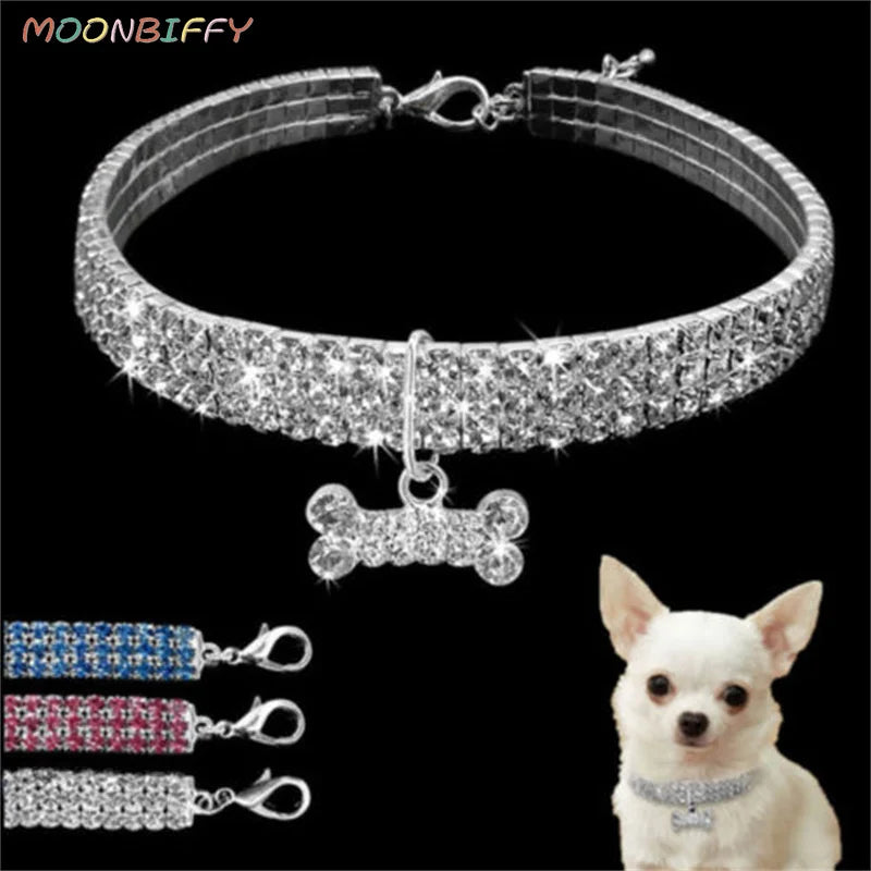 Collier pour Chien en Strass : L'Éclat de Votre Compagnon