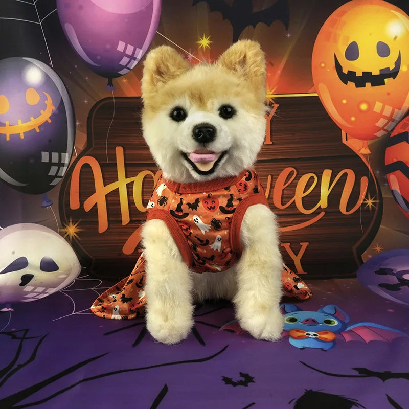 Votre chien sera la star d'Halloween avec cette adorable robe de citrouille !