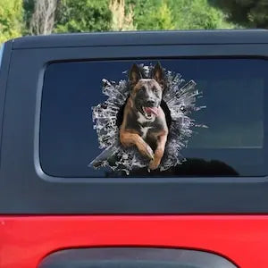 Custom Stickers, Proud Malinois Owner: Show your passion to the world