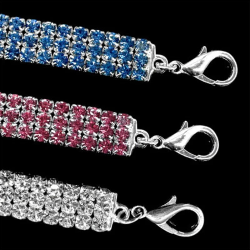 Collier pour Chien en Strass : L'Éclat de Votre Compagnon