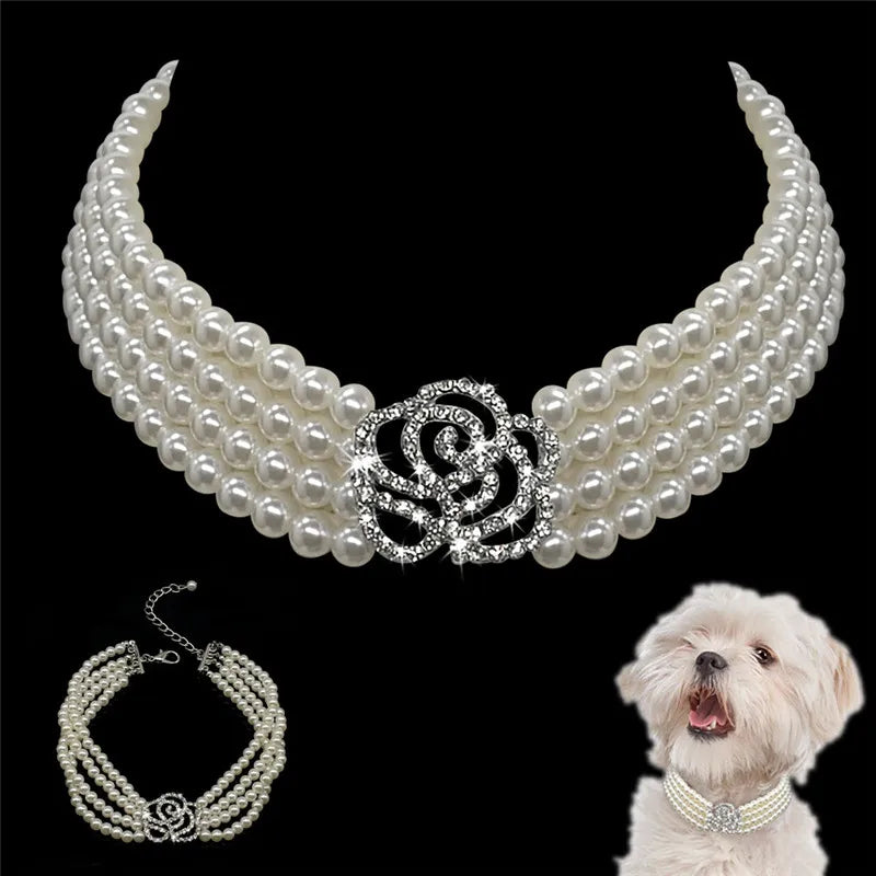 Collier de perles à 4 rangées pour chien : l'élégance à portée de pattes