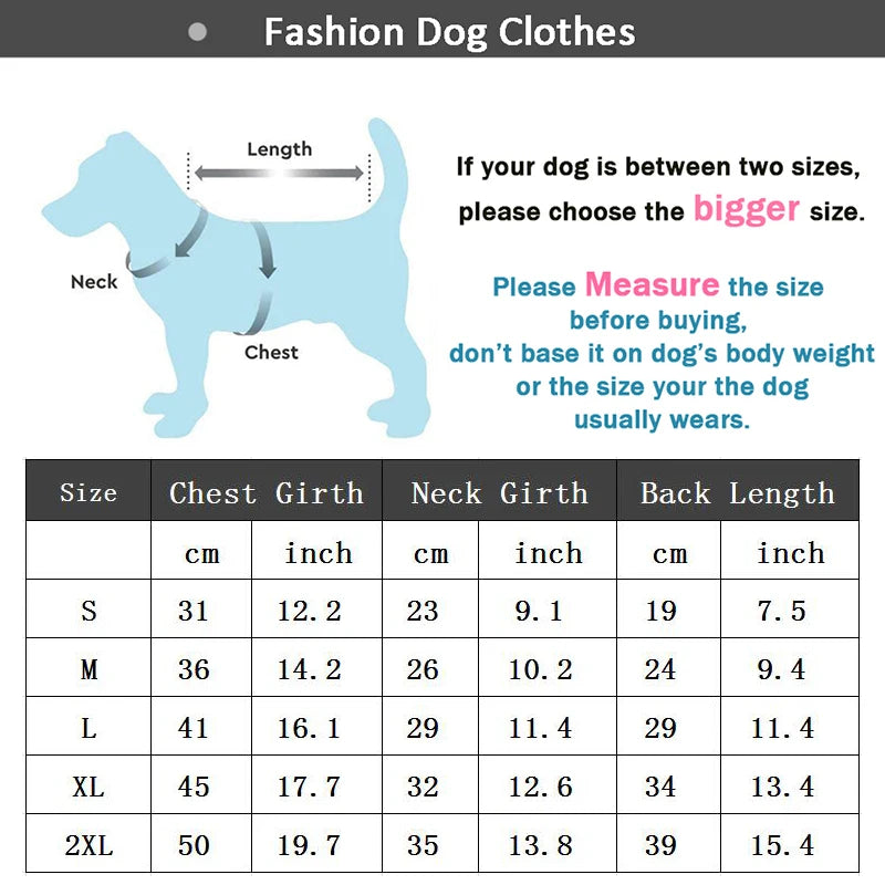 Veste imperméable pour chien : style et protection !