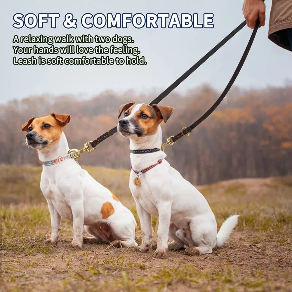 Multifunctional Leash: Adapt it to all your activities!