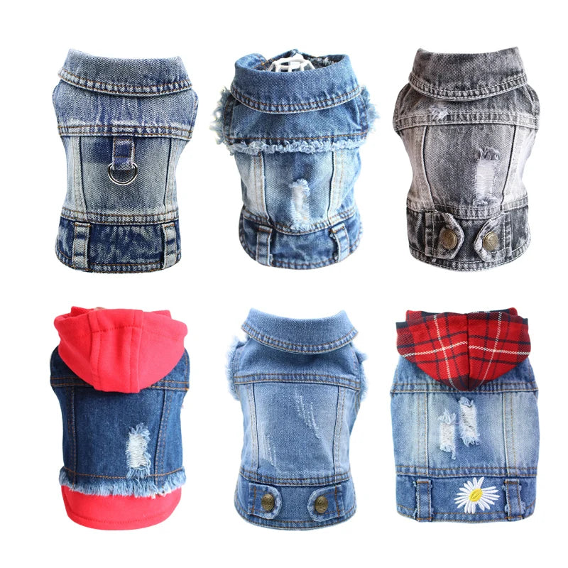 Vestes en jean pour chiens : le style intemporel