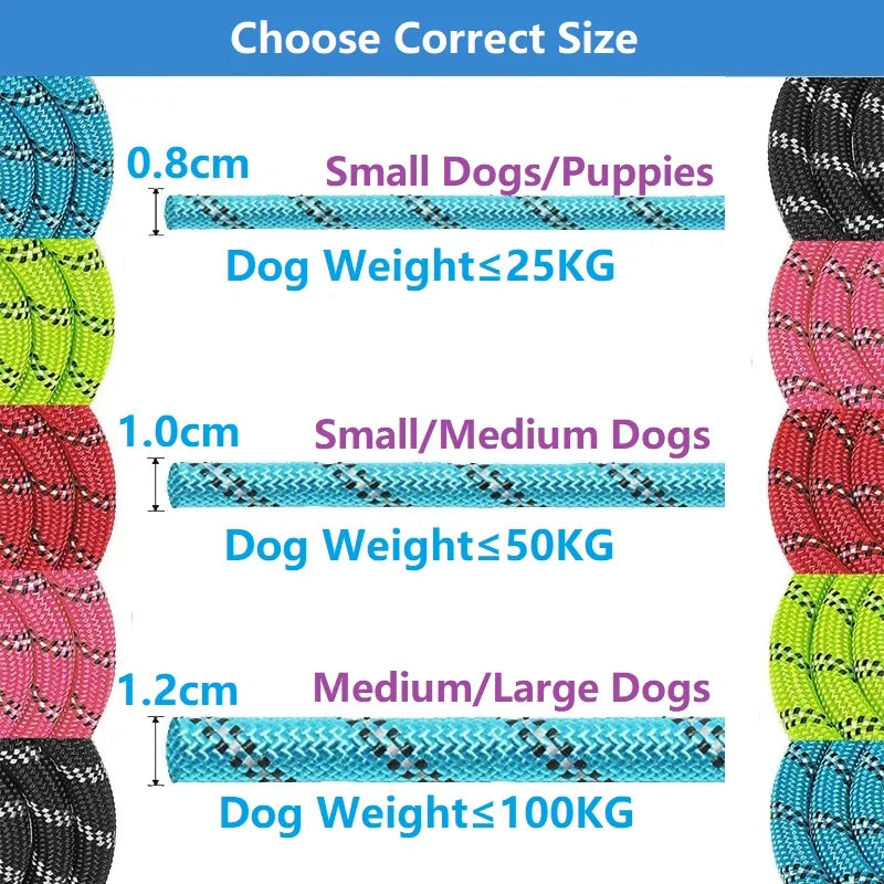 Reinforced leashes 120-300cm: Freedom and control for dogs of all sizes.