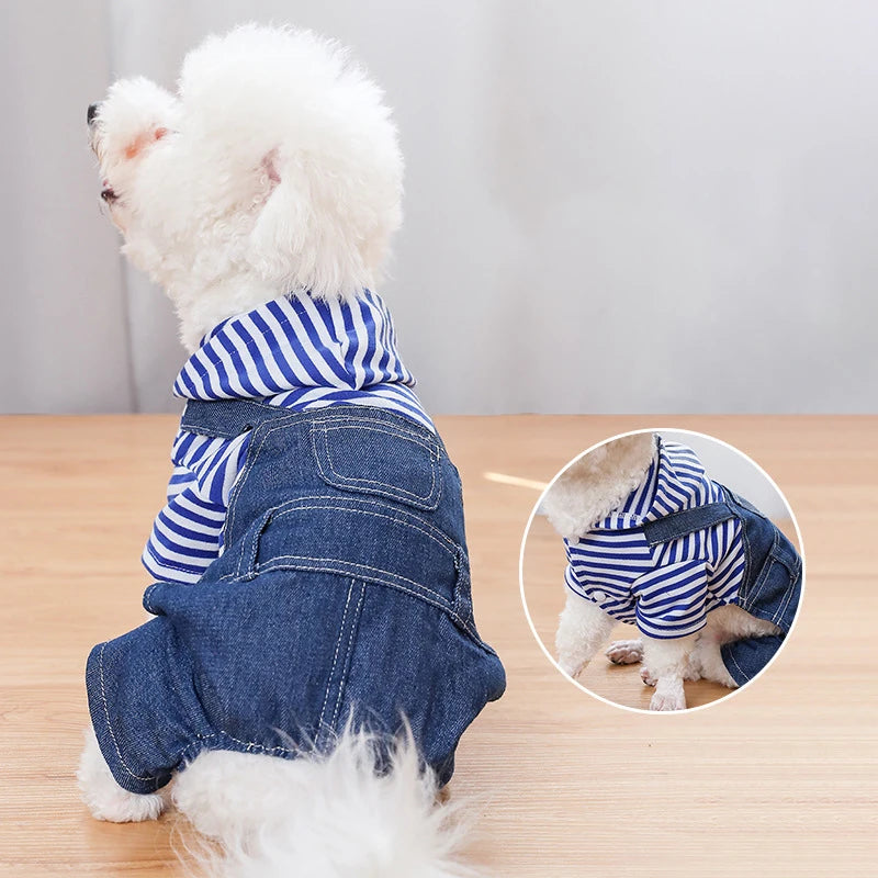 Combinaisons et sweats à capuche pour chiens : confort et style garantis !