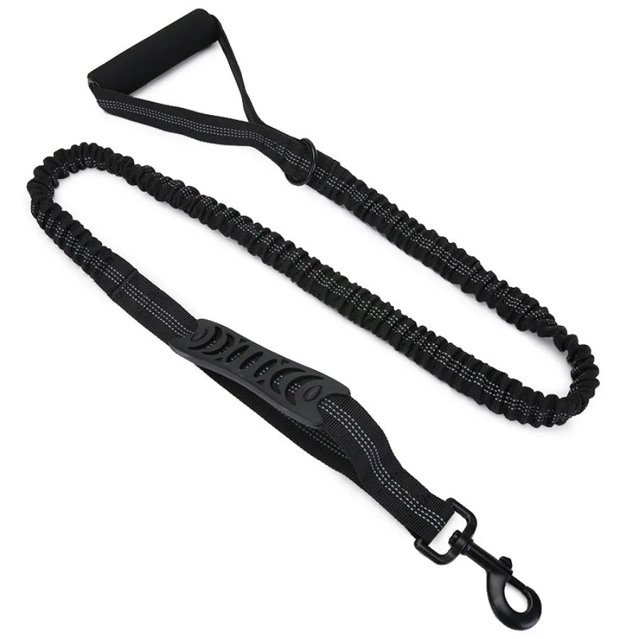 3m reflective dog leash, Maximum safety: Visible at night