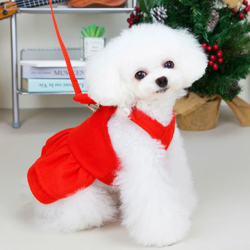 Harnais de princesse rouge : ton chien sera la star de Noël !