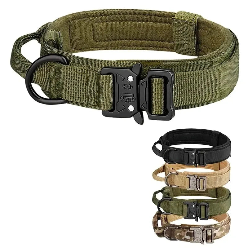 The sturdy and stylish collar for four-legged adventurers!