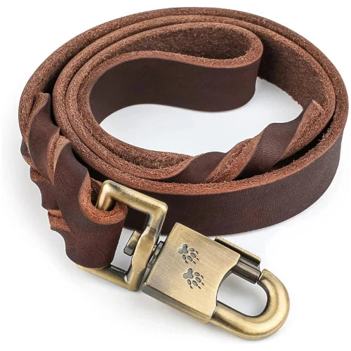 Professional leather leash: Strong, flexible, perfect for training!