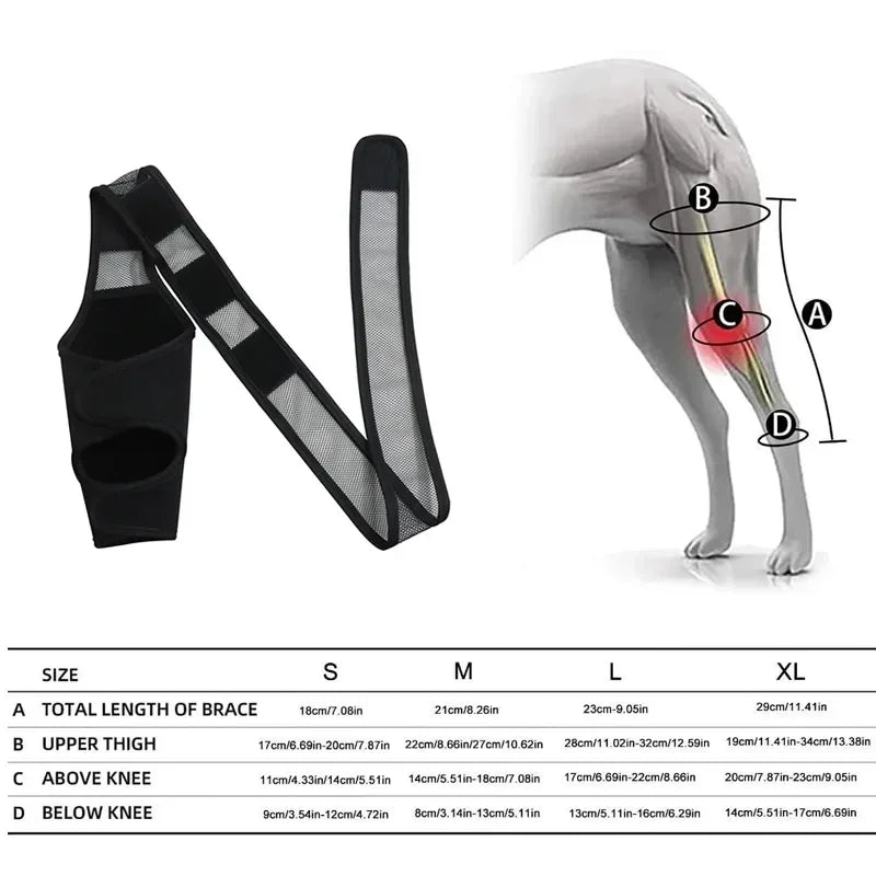 Genouillère de Récupération pour Chien : Soulagement et Protection Optimale