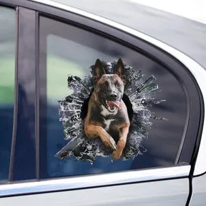 Custom Stickers, Proud Malinois Owner: Show your passion to the world