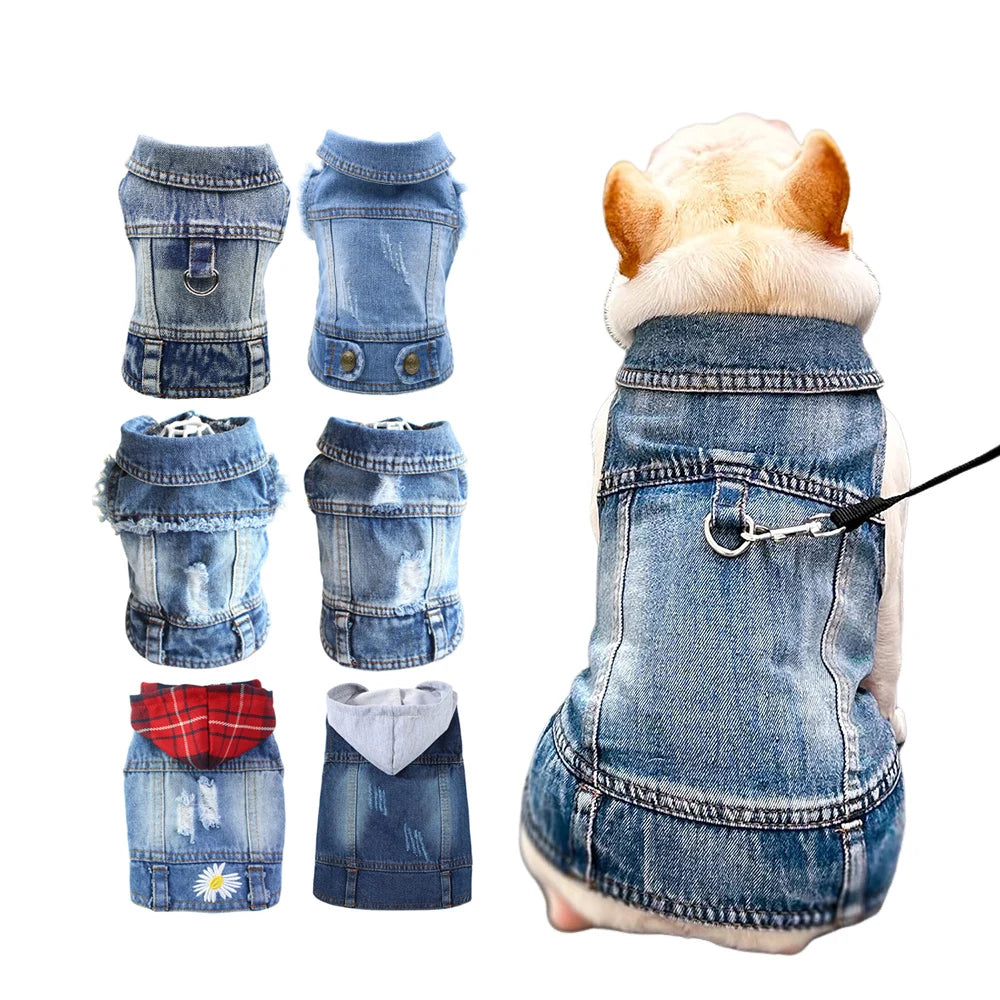 Vestes en jean pour chiens : le style intemporel