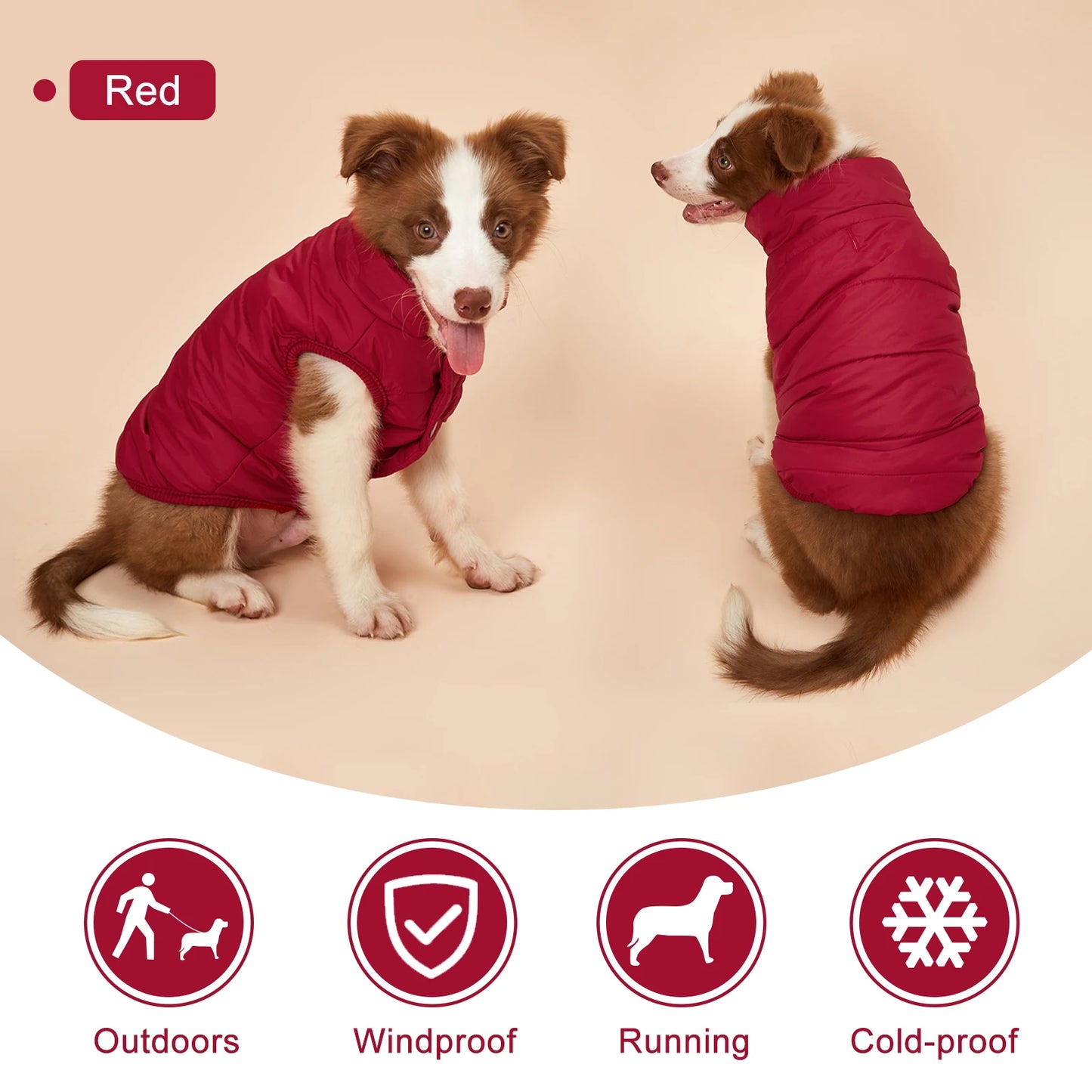 Manteau d'hiver douillet pour chien : Gardez votre compagnon au chaud tout l'hiver !