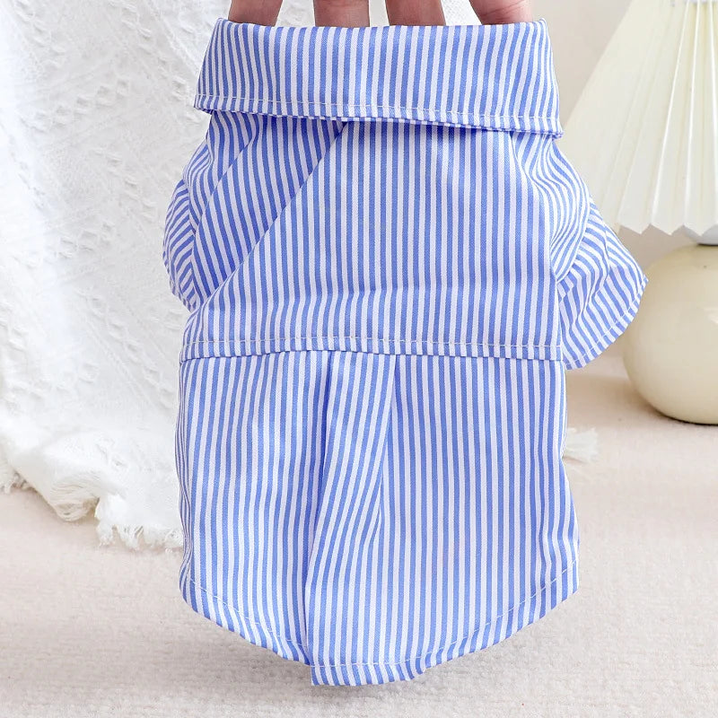 Élégance et confort : la chemise à rayures parfaite pour votre petit compagnon.