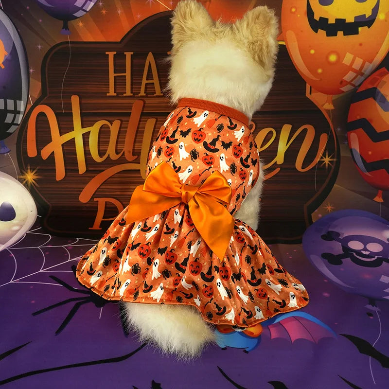 Votre chien sera la star d'Halloween avec cette adorable robe de citrouille !