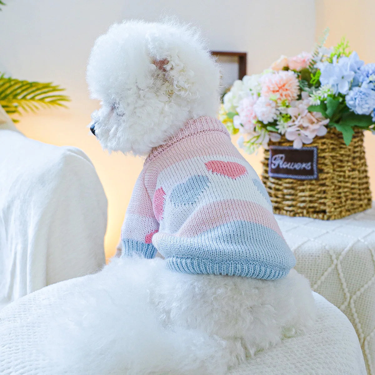 Sweat  "Love" pour chien : Confort et style pour toutes les saisons