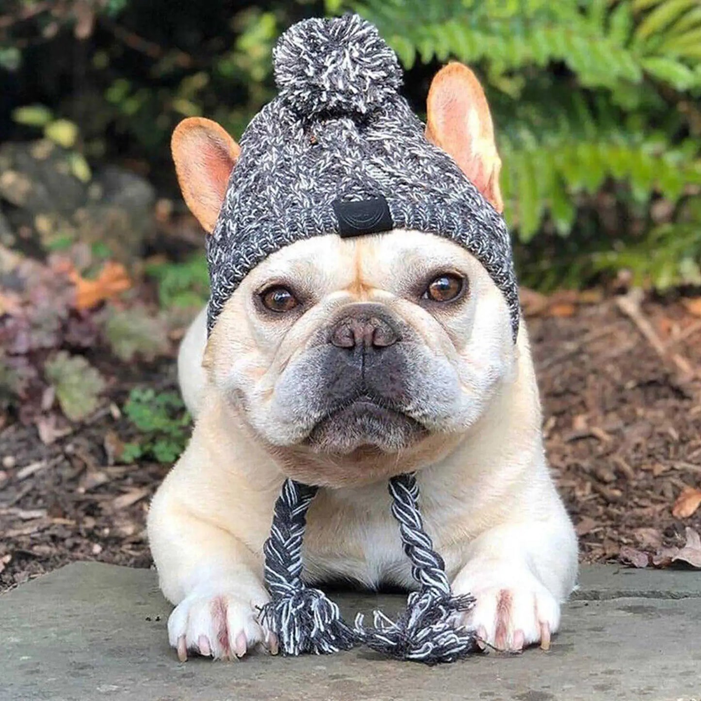 Chapeau d'Hiver Tricoté pour Chien : Le Must-Have Pour les Jours Frais!