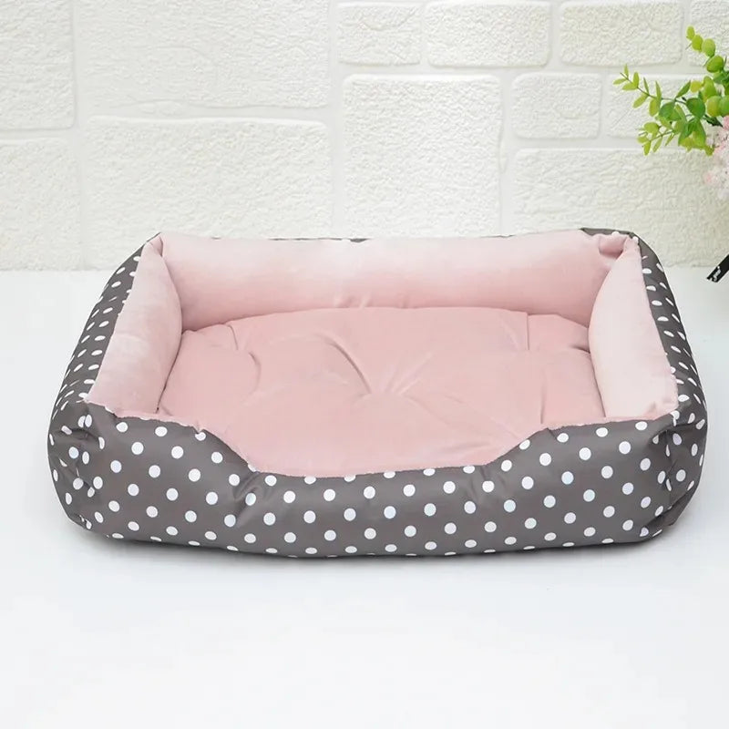 Dodo douillet et tout confort : Lits en polaire corail pour chiens et chats !