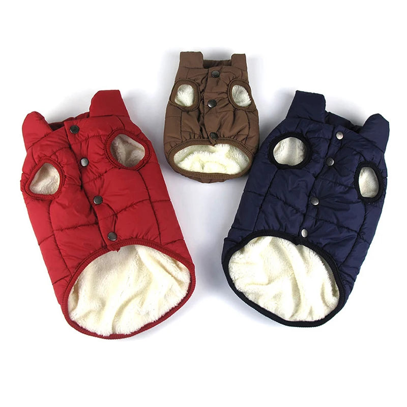 Manteau d'hiver douillet pour chien : Gardez votre compagnon au chaud tout l'hiver !