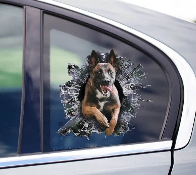 Custom Stickers, Proud Malinois Owner: Show your passion to the world