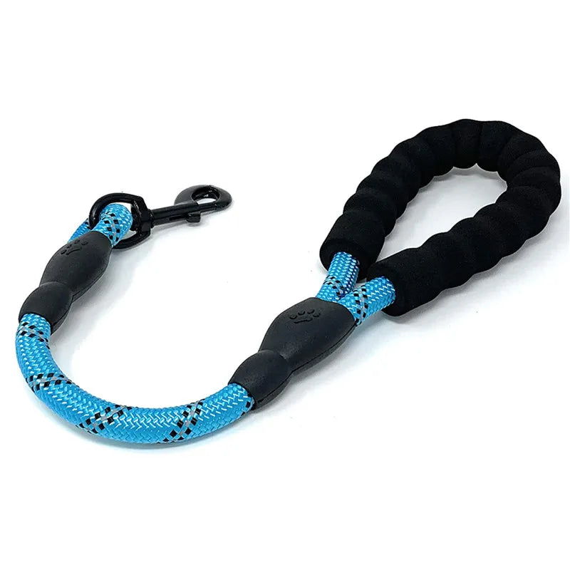 Luminous Leash: Night walks with complete peace of mind.