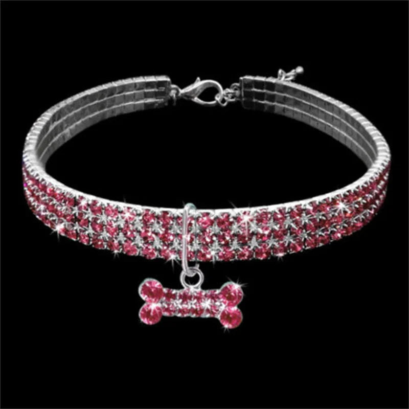 Collier pour Chien en Strass : L'Éclat de Votre Compagnon